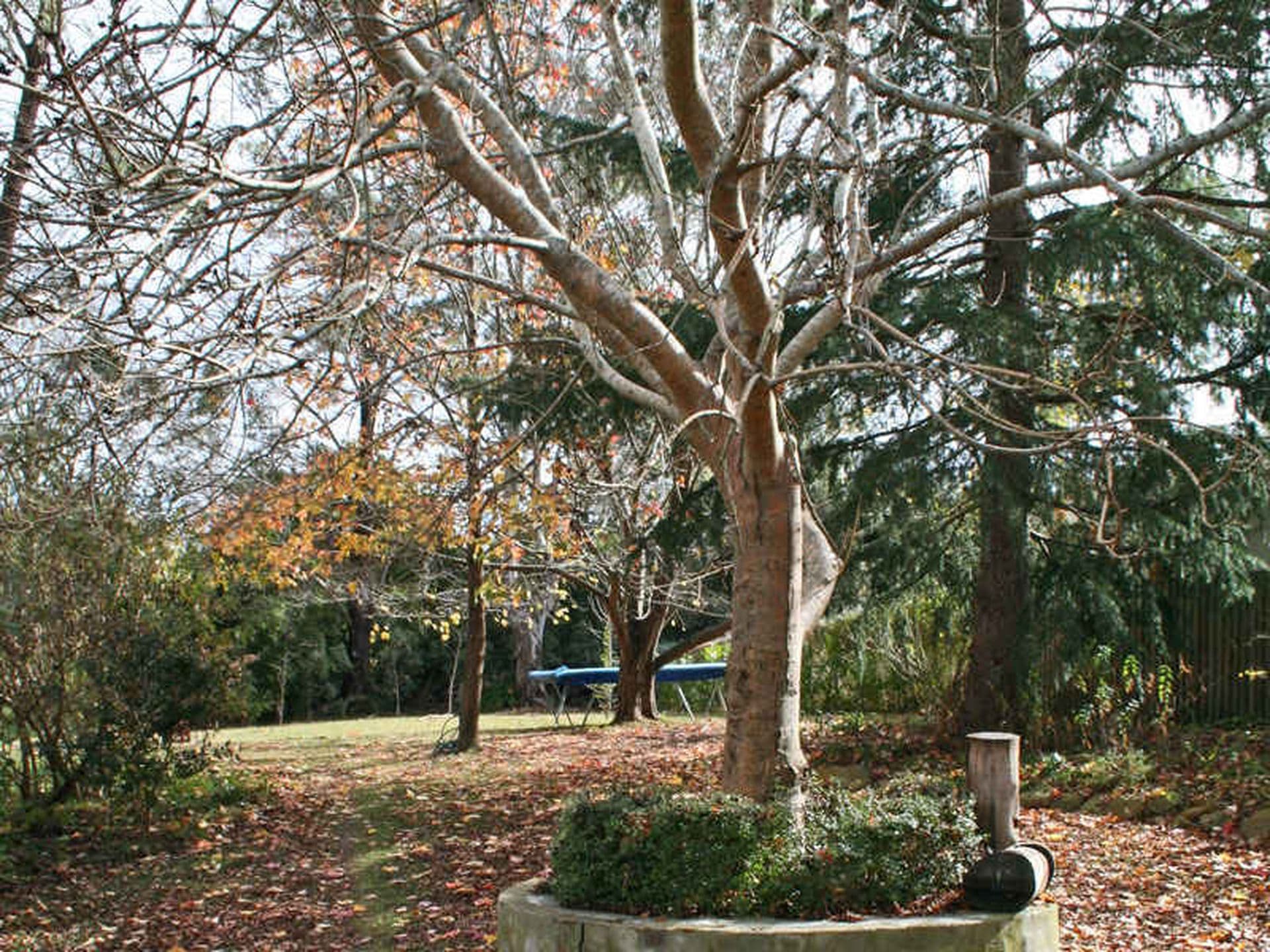 Bowral, Bowral - Thumbnail 7