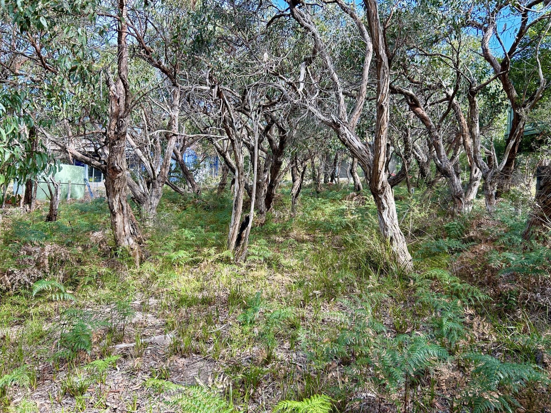 43 Forest Drive, Fairhaven - Image 1