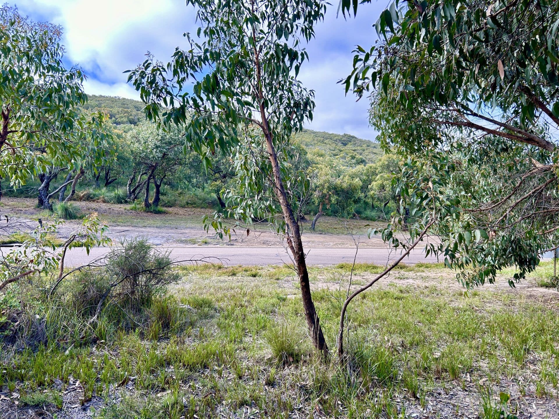 43 Forest Drive, Fairhaven - Thumbnail 3