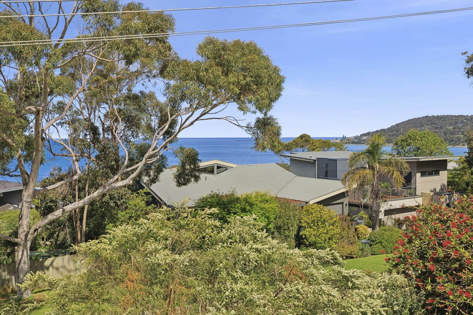 17 Smithers Street, Lorne - Thumbnail 8