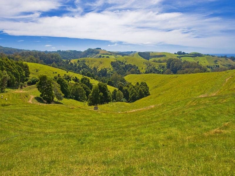 1150 Great Ocean Road, Apollo Bay - Image 1