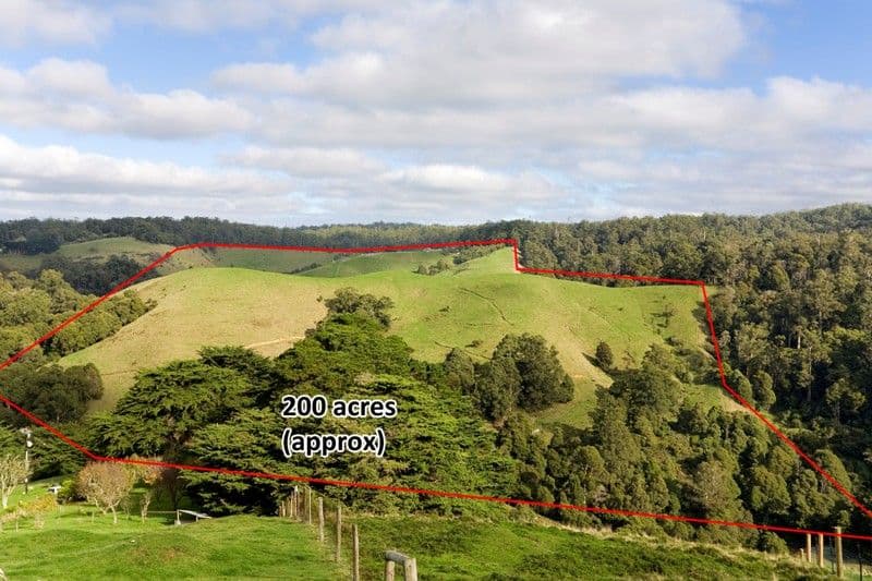 1150 Great Ocean Road, Apollo Bay - Thumbnail 3