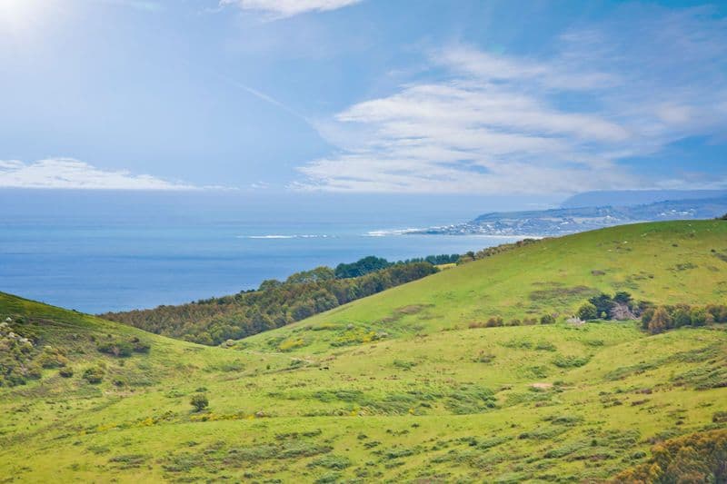 555 Henrys Road, Apollo Bay - Thumbnail 3