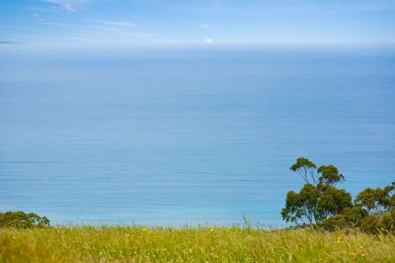 555 Henrys Road, Apollo Bay - Thumbnail 5
