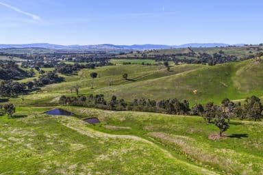 PIRIES VIC, Piries - Image 1