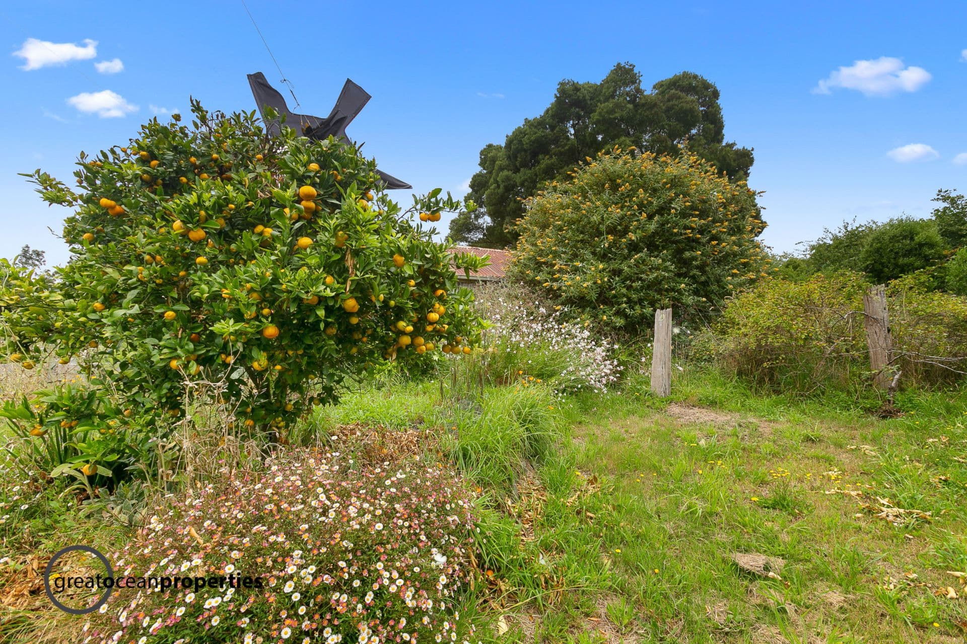 15 Kents Road, Forrest - Image 1
