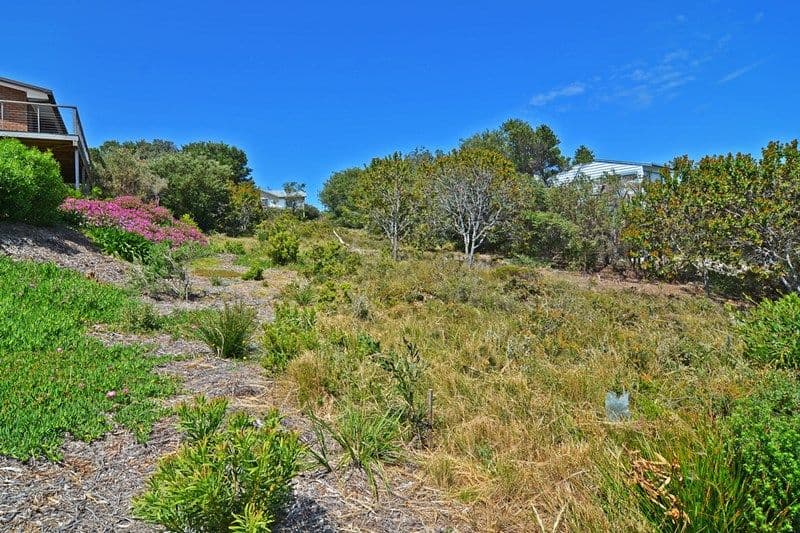 41 Lialeeta Road, Fairhaven - Thumbnail 3