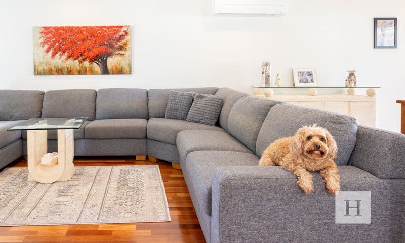 5 Miller Crescent, Blue Haven, NSW 2262, Blue Haven - Thumbnail 7
