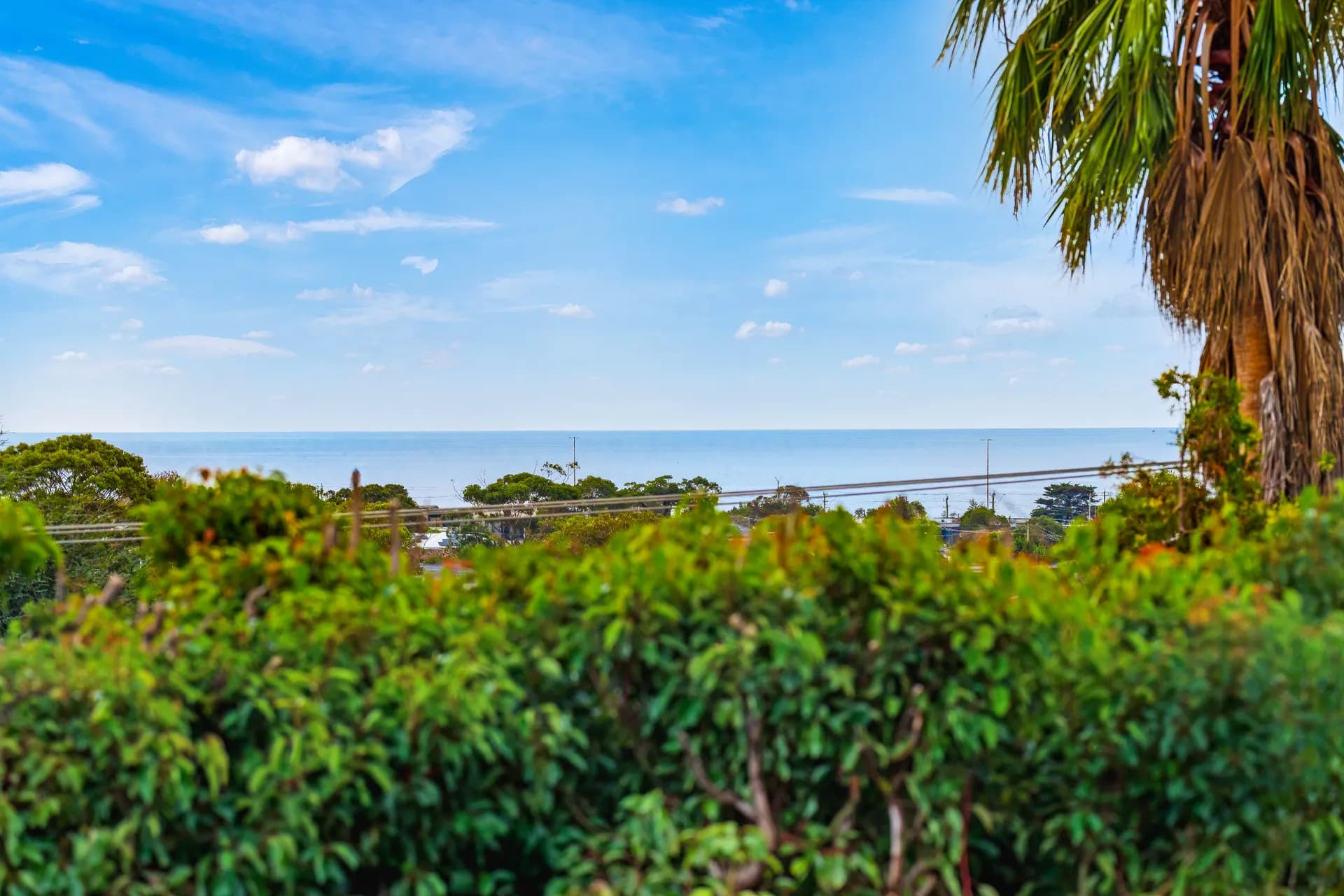 4 Cosmos Street, Dromana, VIC, Dromana - Thumbnail 6