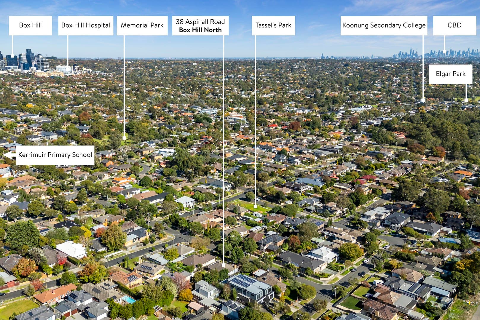 38 Aspinall Road, Box Hill North, VIC 3129, Box Hill North - Thumbnail 3