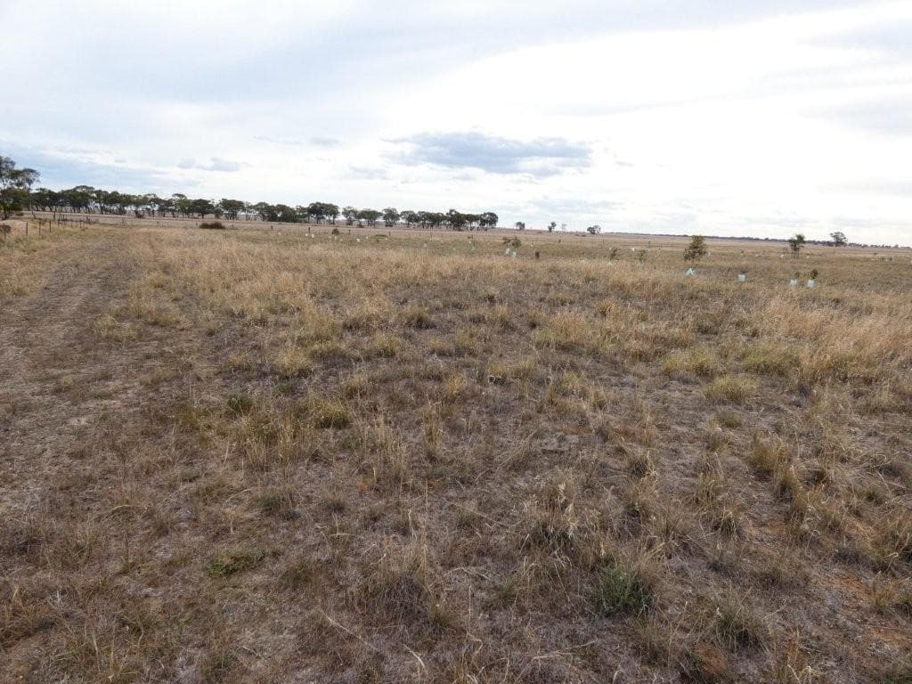 13 Loats Street, MINYIP VIC 3392, Minyip - Thumbnail 2