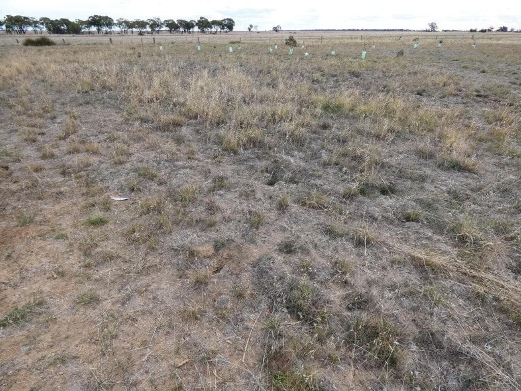 13 Loats Street, MINYIP VIC 3392, Minyip - Thumbnail 5