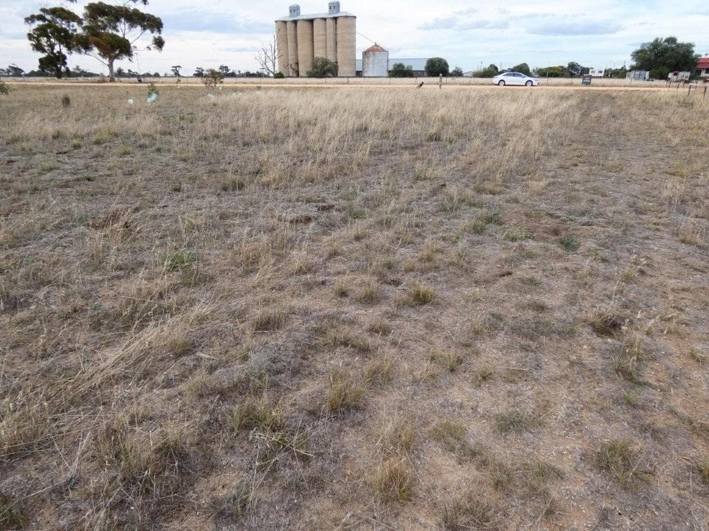 13 Loats Street, MINYIP VIC 3392, Minyip - Thumbnail 6