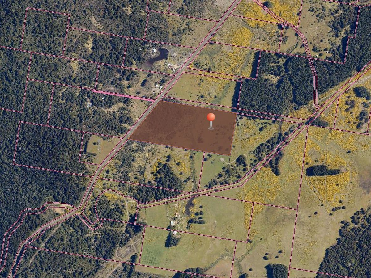 891 Waratah Road, Waratah, Waratah - Thumbnail 3