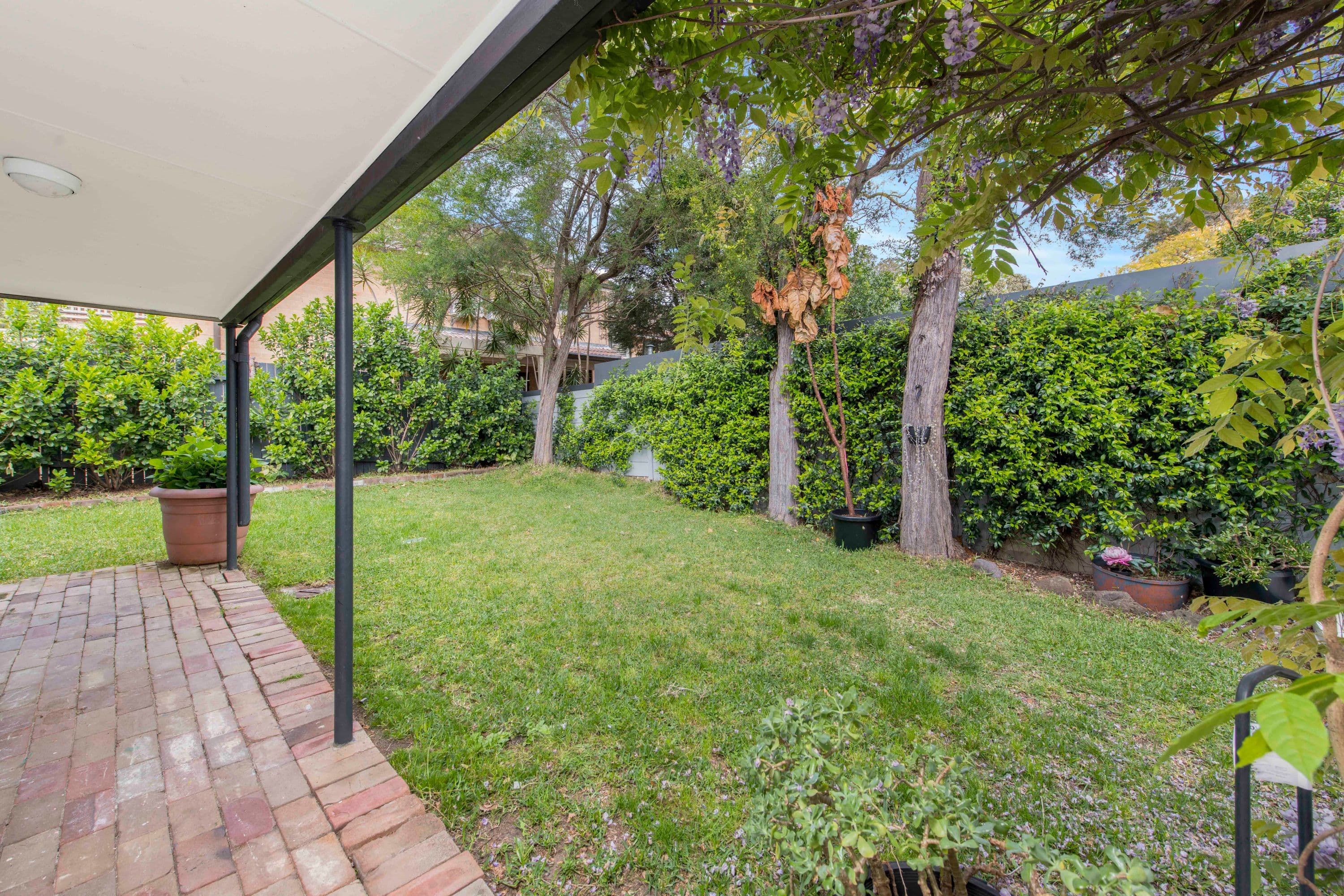 41 Palmer Street, Cammeray - Thumbnail 5