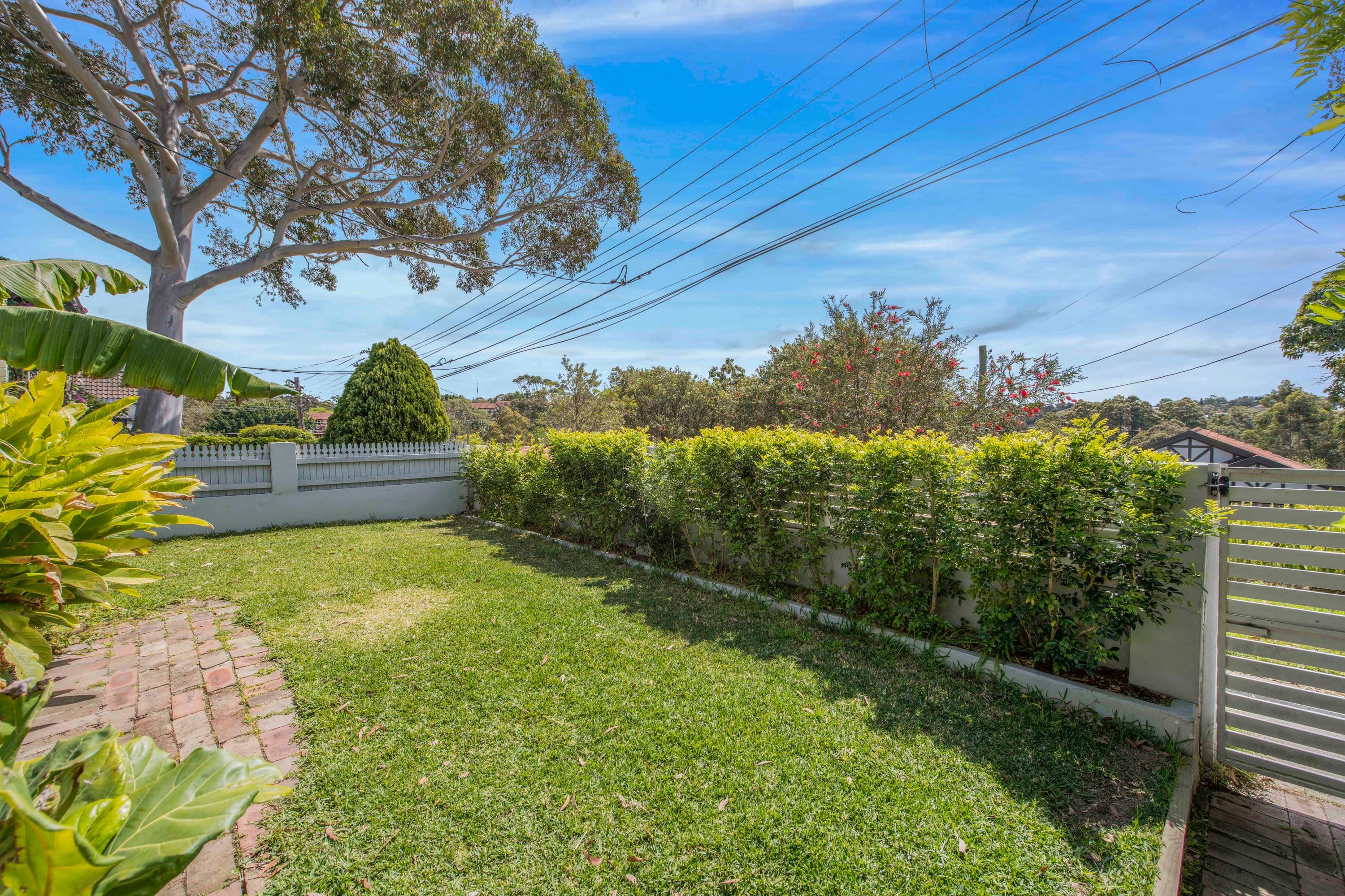 41 Palmer Street, Cammeray - Thumbnail 8