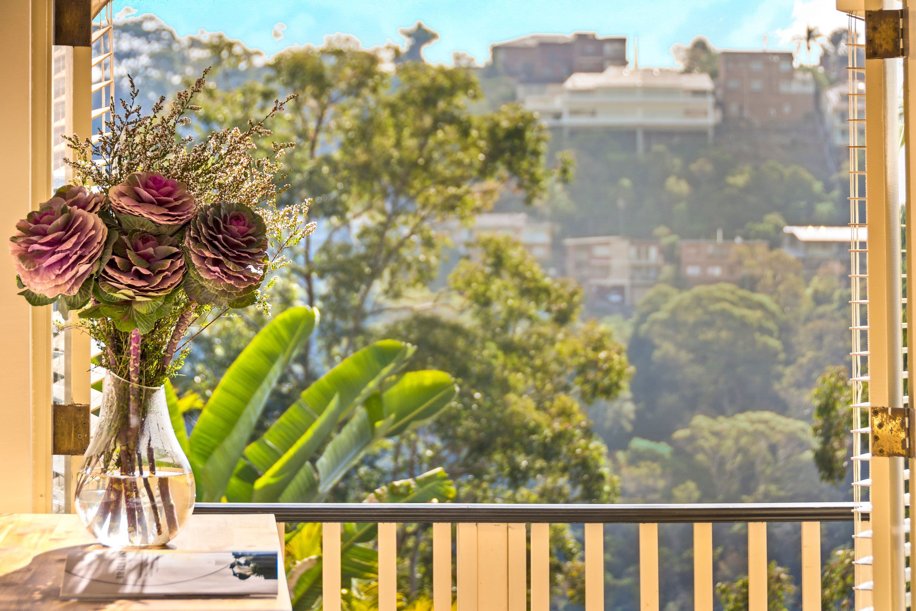 49 Pine Street, Cammeray - Thumbnail 6