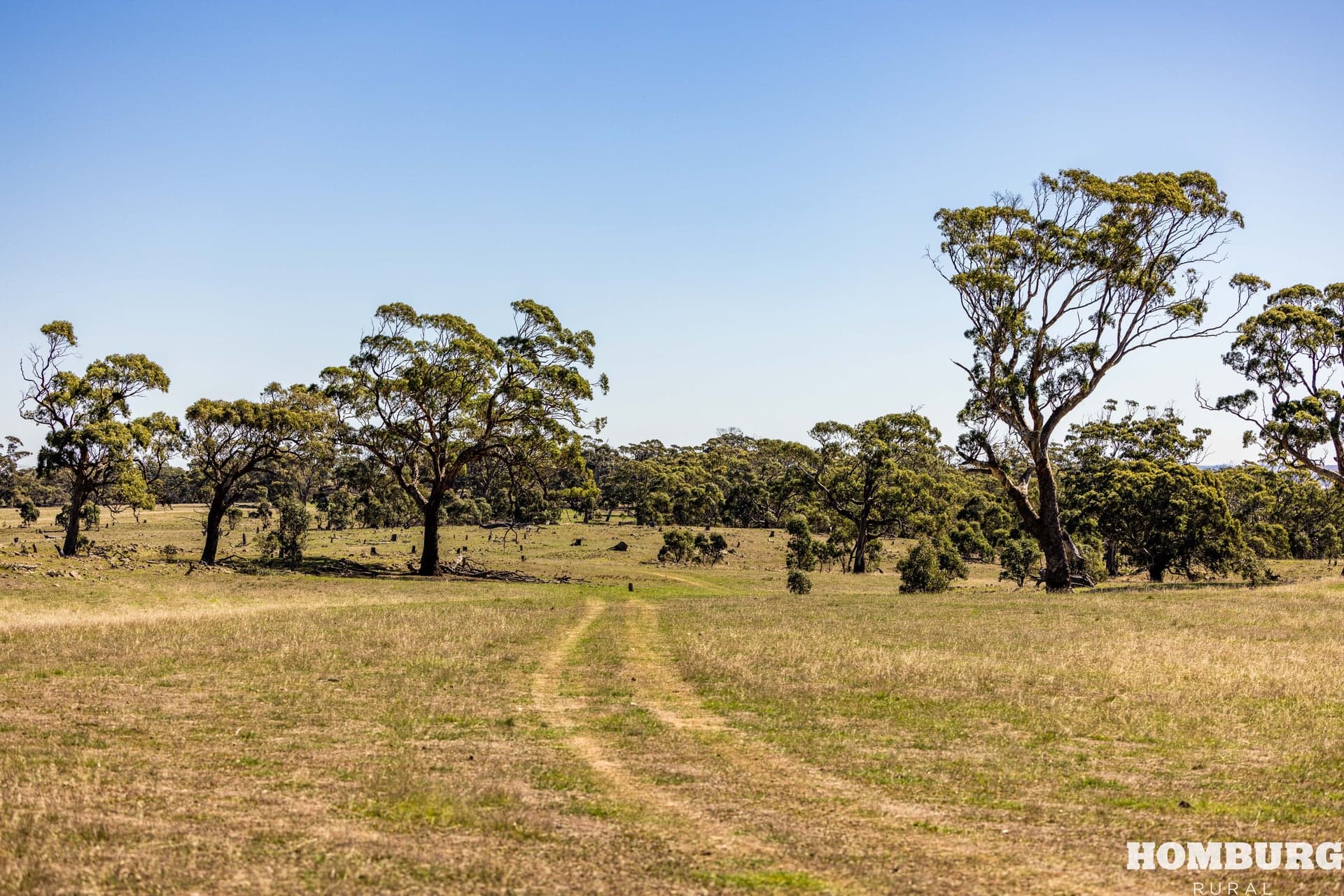 Lot 128 Keyneton Road, KEYNETON, Keyneton - Thumbnail 6