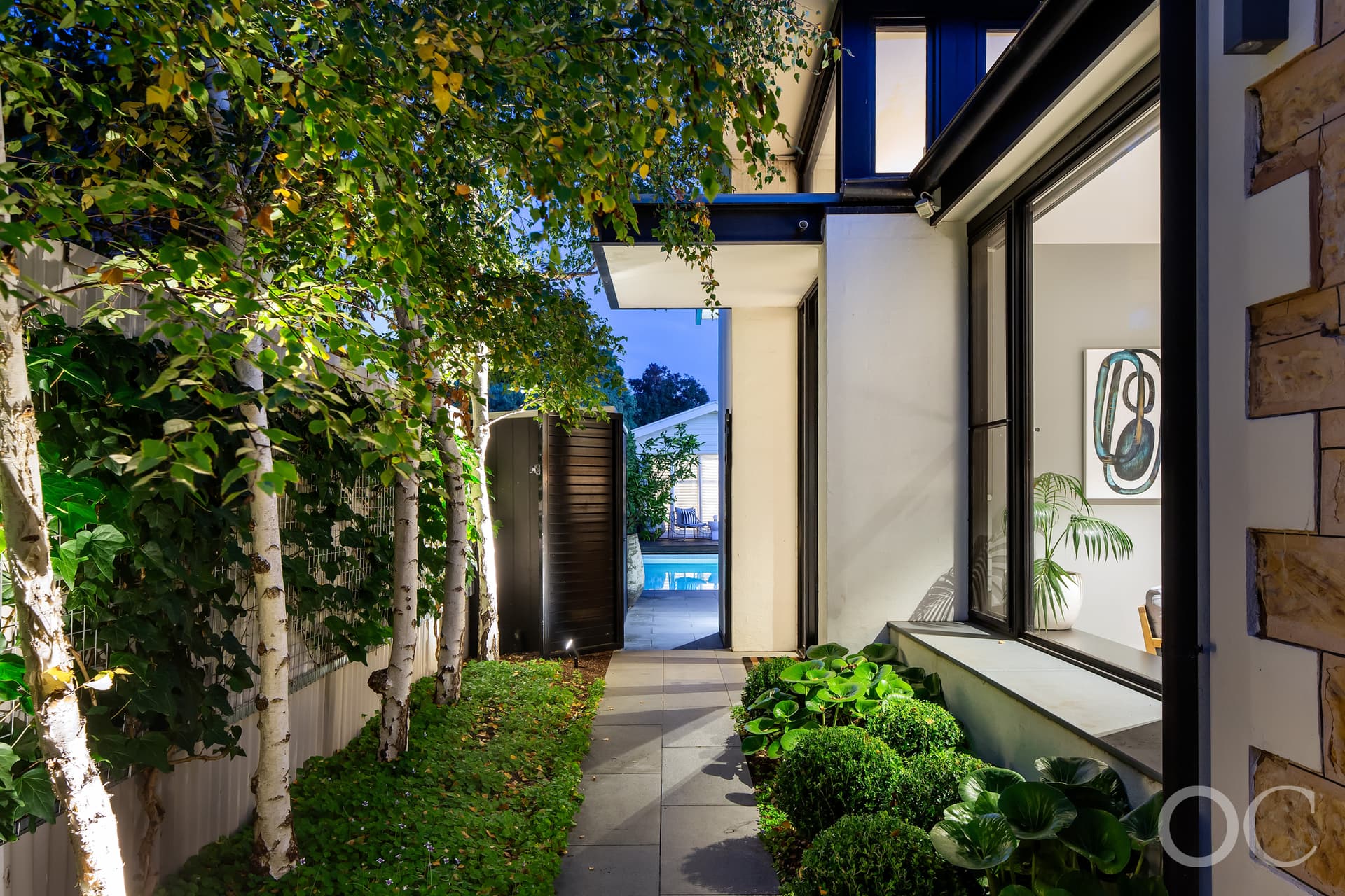 275 Young Street, Wayville - Thumbnail 3