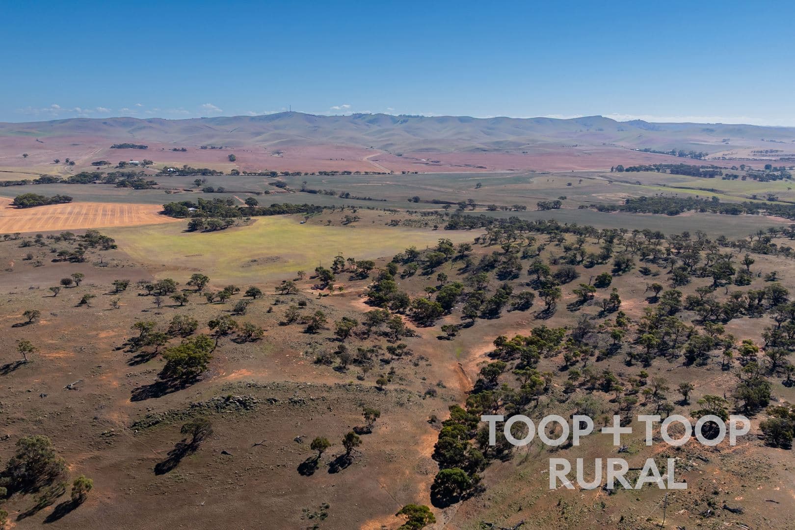 Oaklands Road, Dutton SA 5356, Dutton - Image 1