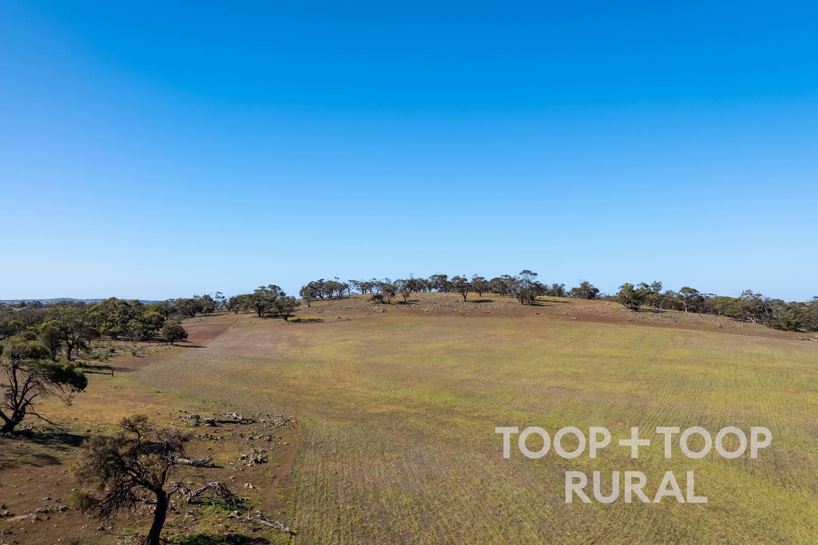 Oaklands Road, Dutton SA 5356, Dutton - Thumbnail 2