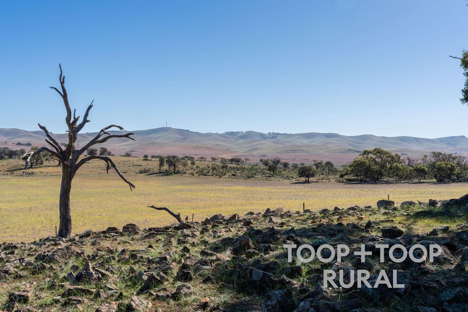 Oaklands Road, Dutton SA 5356, Dutton - Thumbnail 4