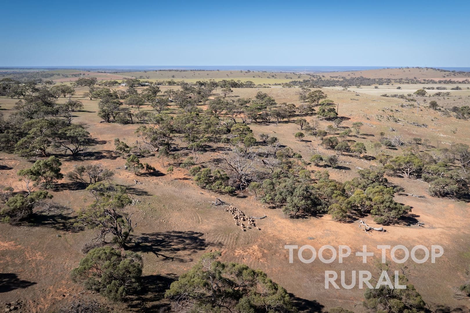 Oaklands Road, Dutton SA 5356, Dutton - Thumbnail 5