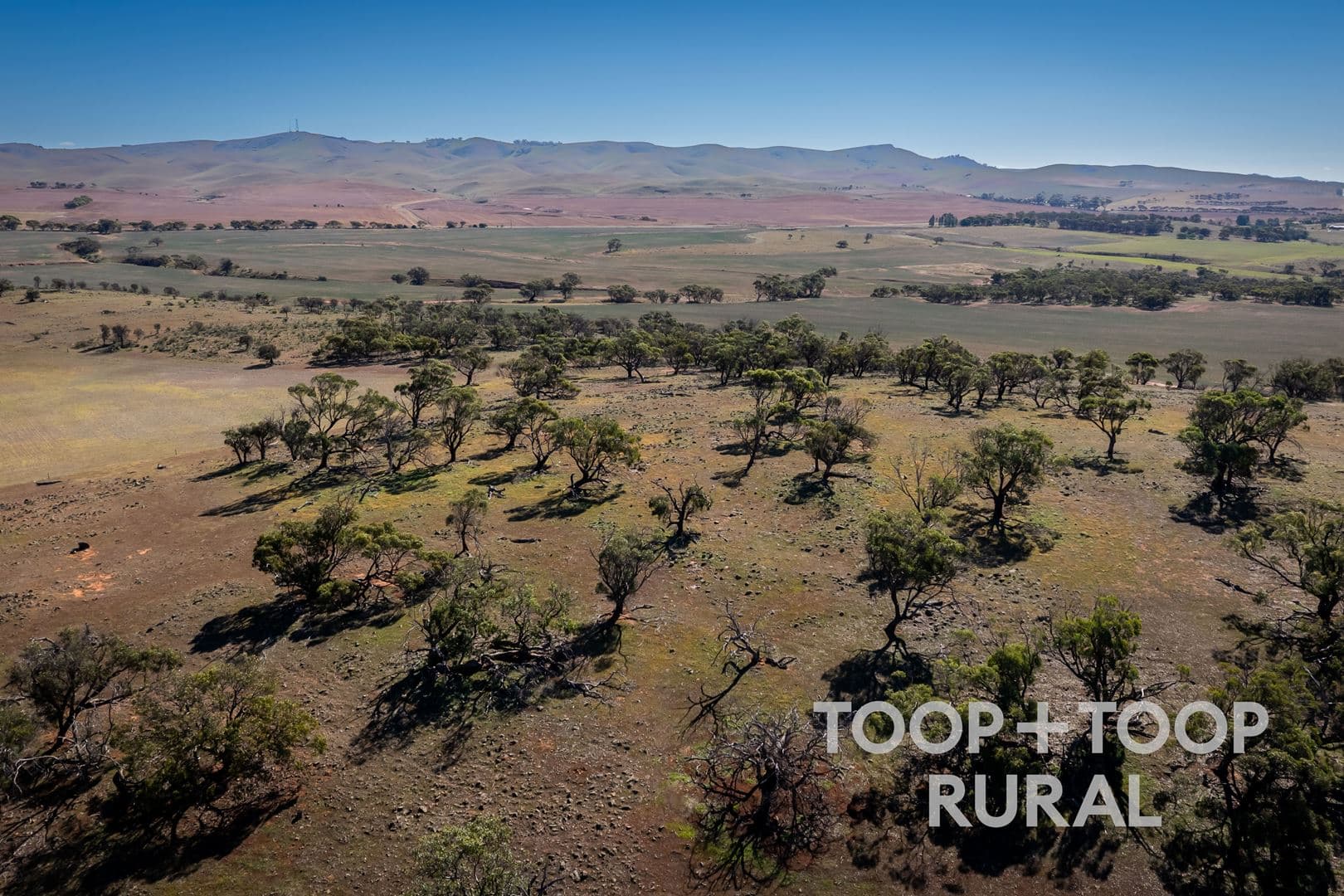 Oaklands Road, Dutton SA 5356, Dutton - Thumbnail 6