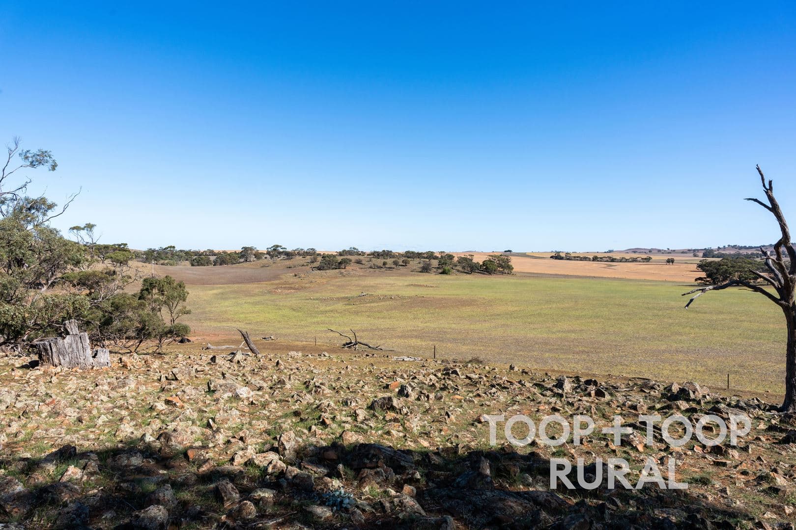 Oaklands Road, Dutton SA 5356, Dutton - Thumbnail 7