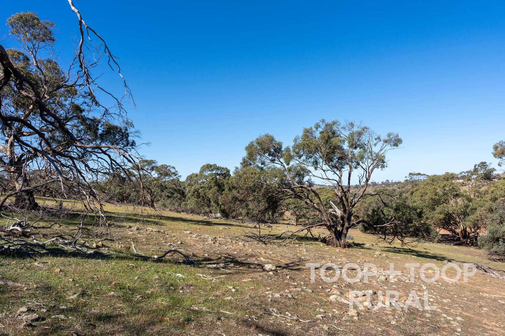 Oaklands Road, Dutton SA 5356, Dutton - Thumbnail 8
