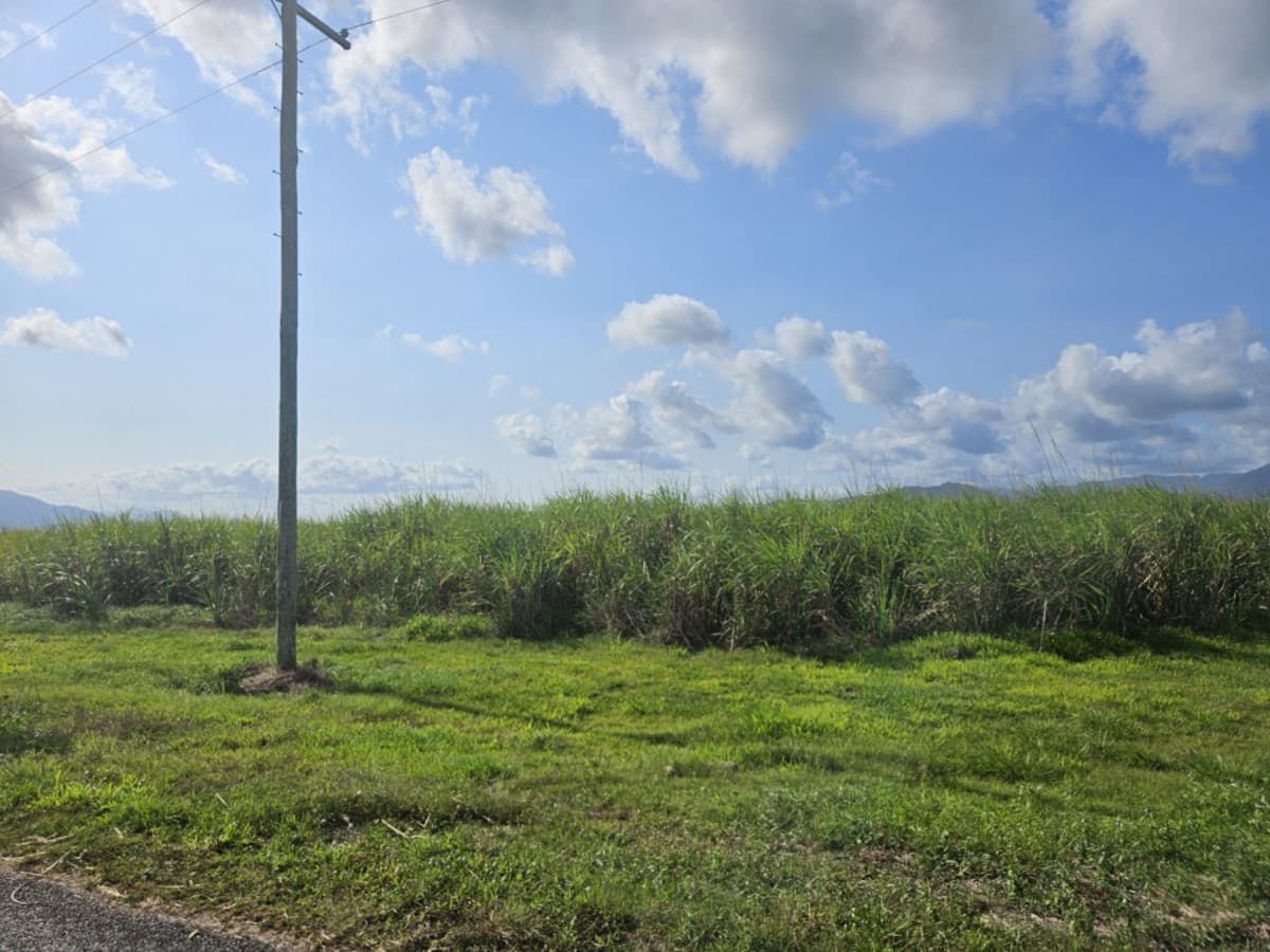 315 Kemp's Road, Macknade, QLD, Macknade - Thumbnail 3