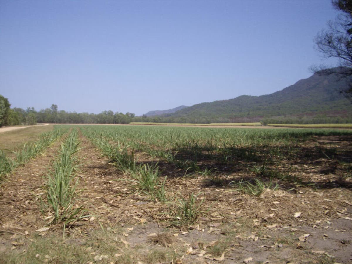 El Alamein Road, Abergowrie, QLD, Abergowrie - Image 1