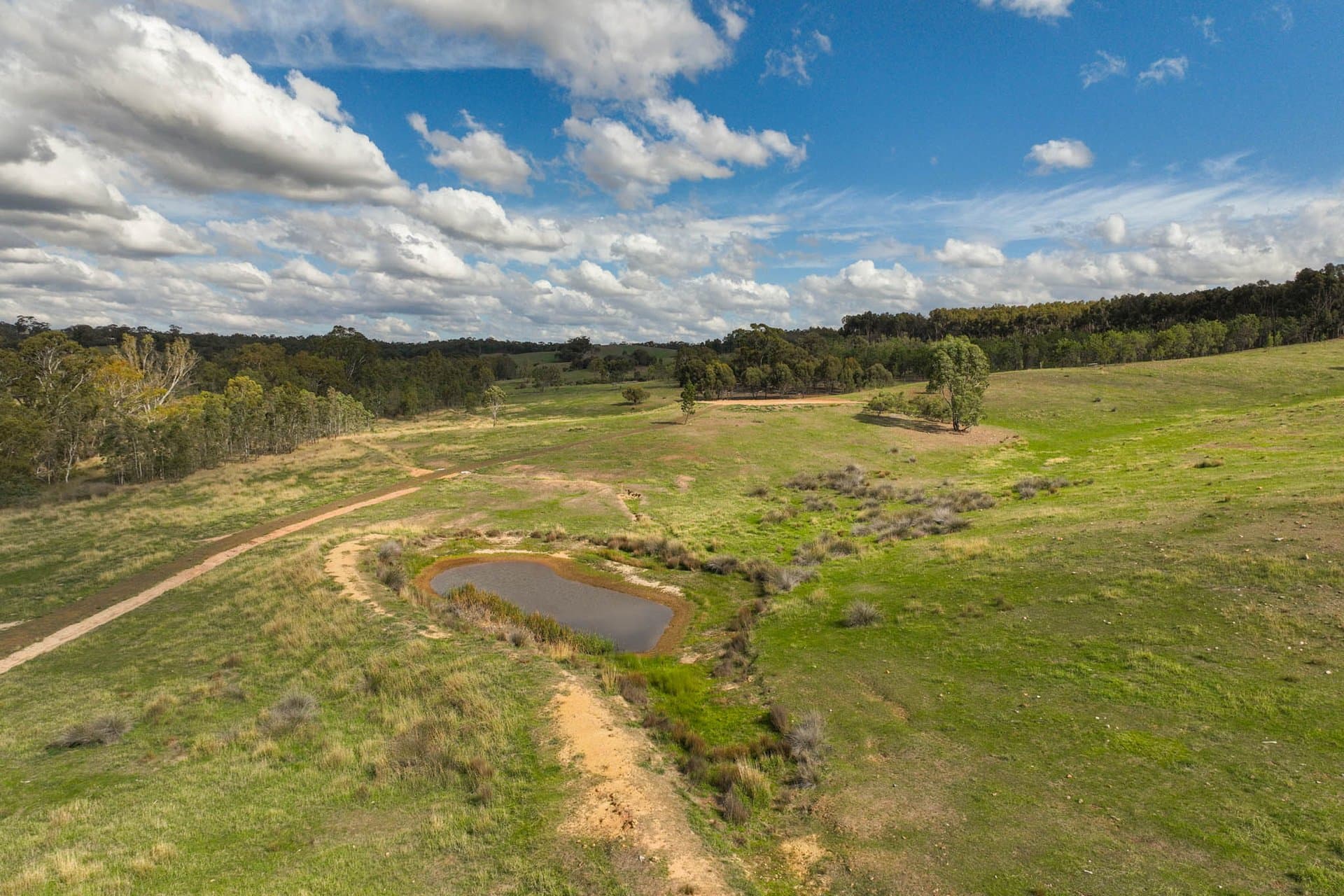 795 Heathcote-Spring Plains Road, Glenhope - Thumbnail 4