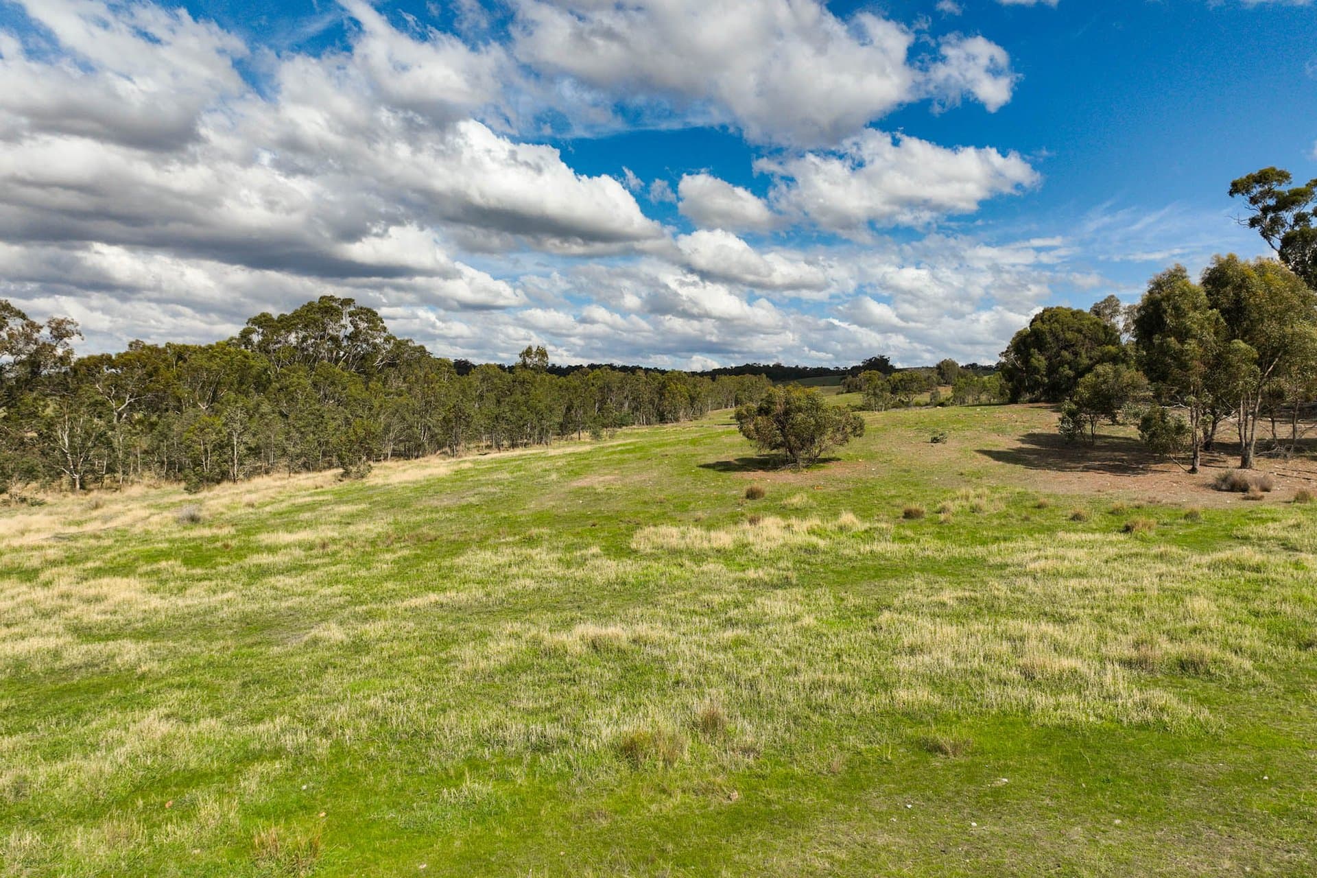 795 Heathcote-Spring Plains Road, Glenhope - Thumbnail 6