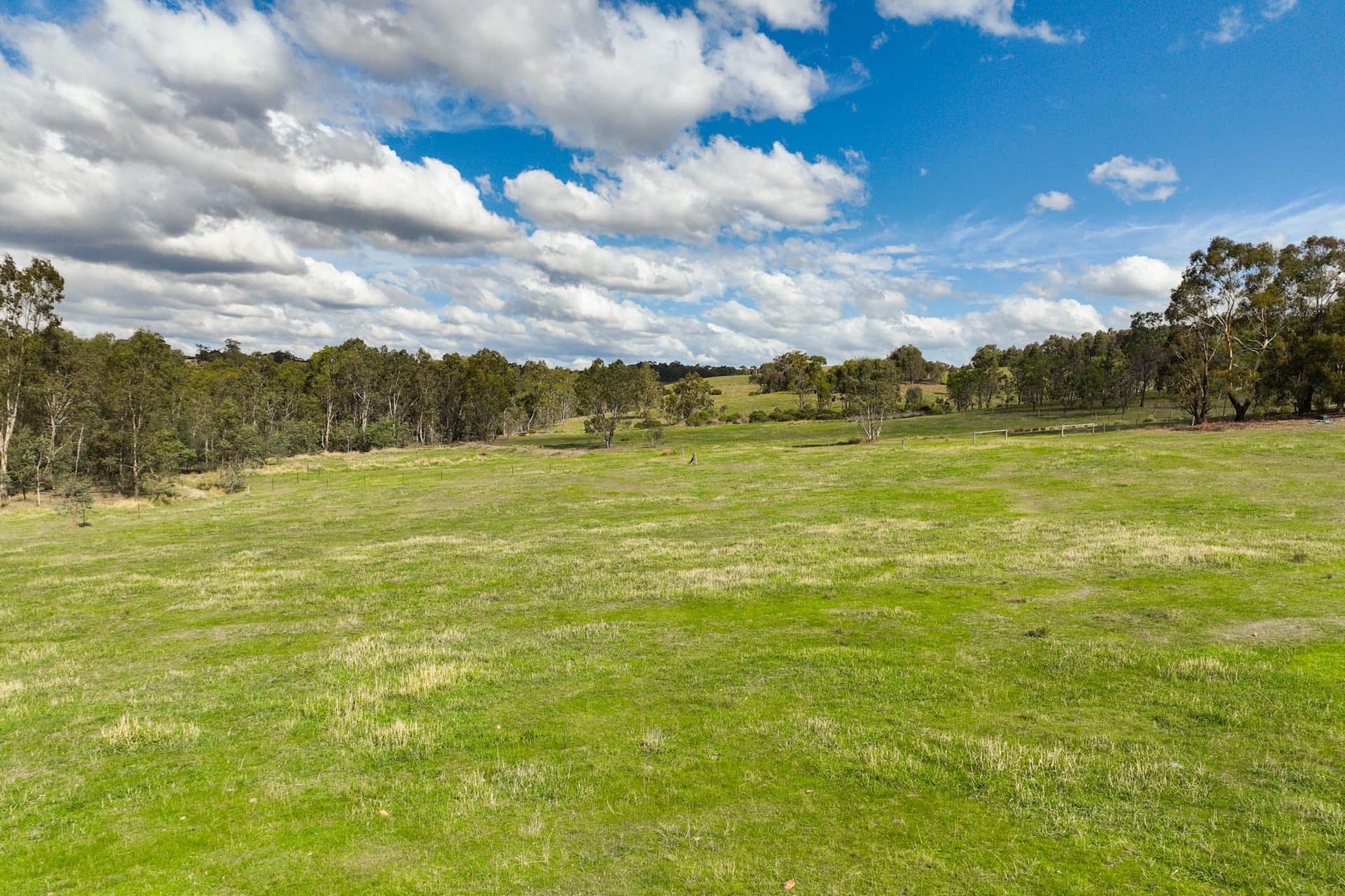795 Heathcote-Spring Plains Road, Glenhope - Thumbnail 7