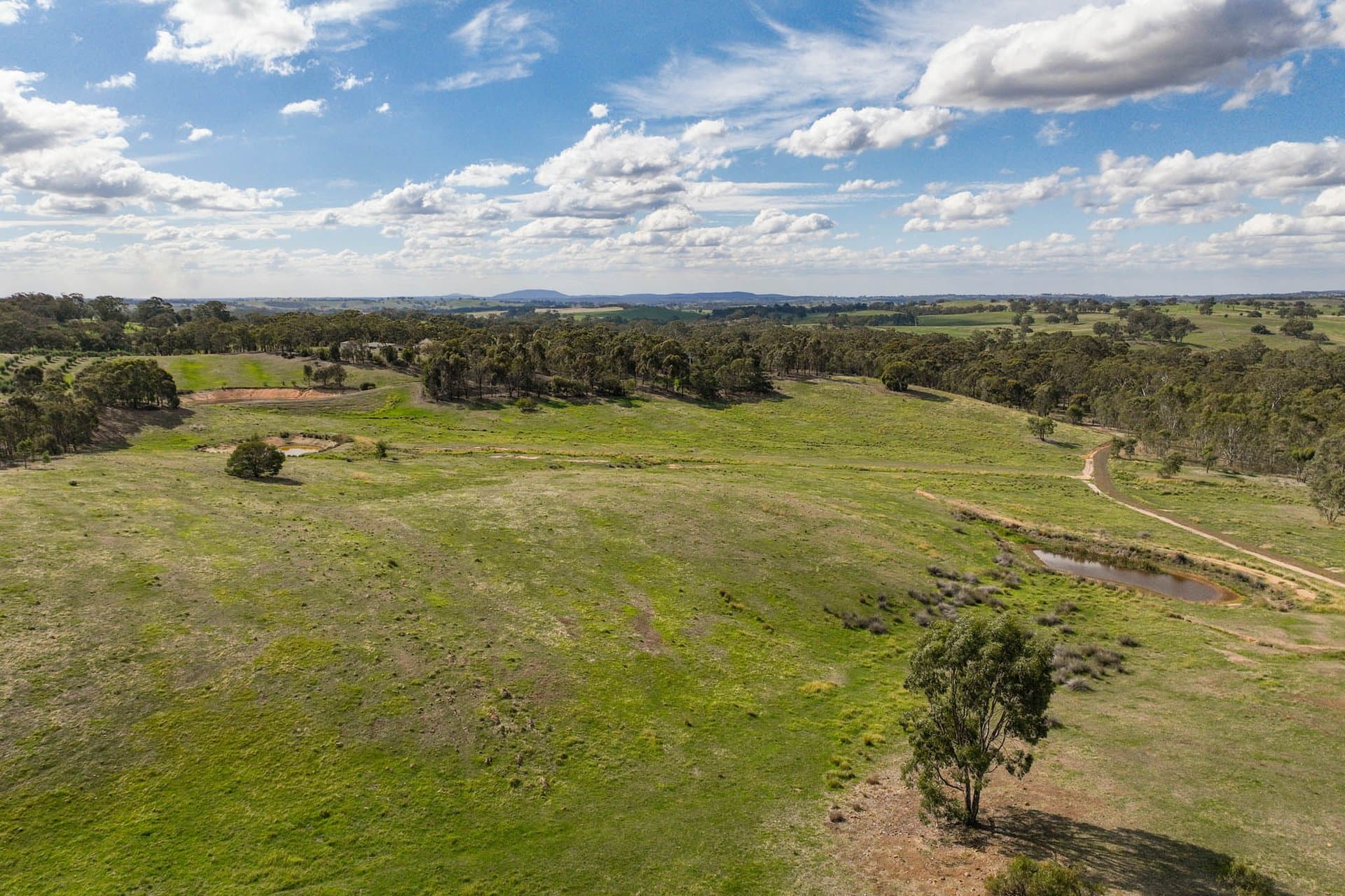 795 Heathcote-Spring Plains Road, Glenhope - Thumbnail 8