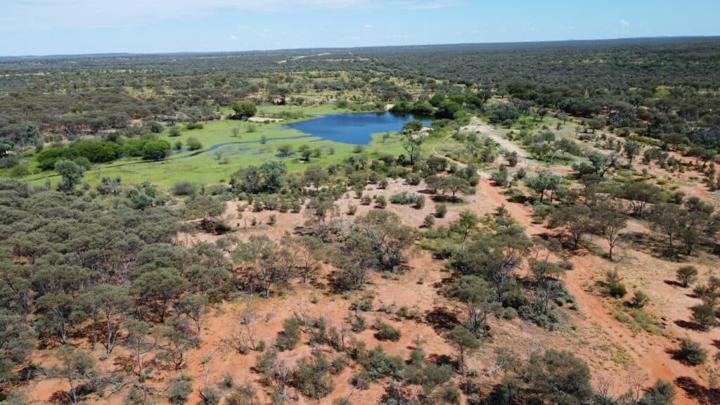 "Evengy" 1484 Warbreccan Road, Stonehenge QLD 4730, Stonehenge - Thumbnail 2