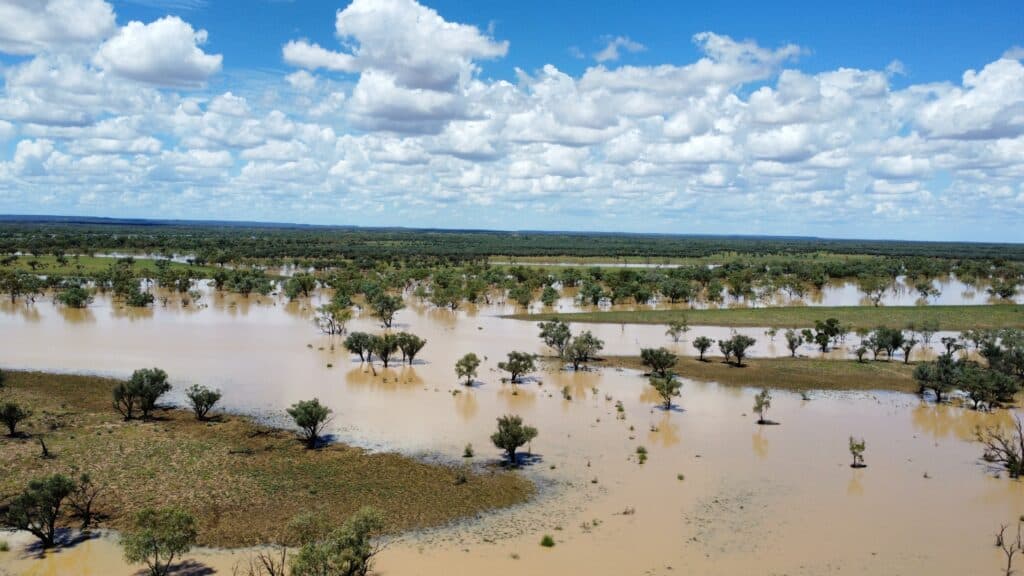 "Evengy" 1484 Warbreccan Road, Stonehenge QLD 4730, Stonehenge - Thumbnail 3