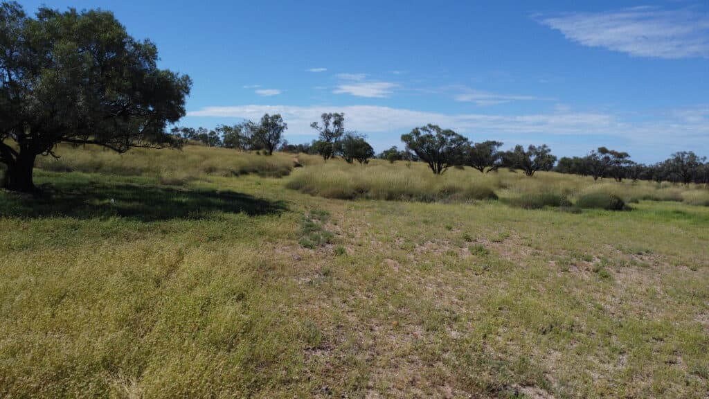 "Evengy" 1484 Warbreccan Road, Stonehenge QLD 4730, Stonehenge - Thumbnail 4