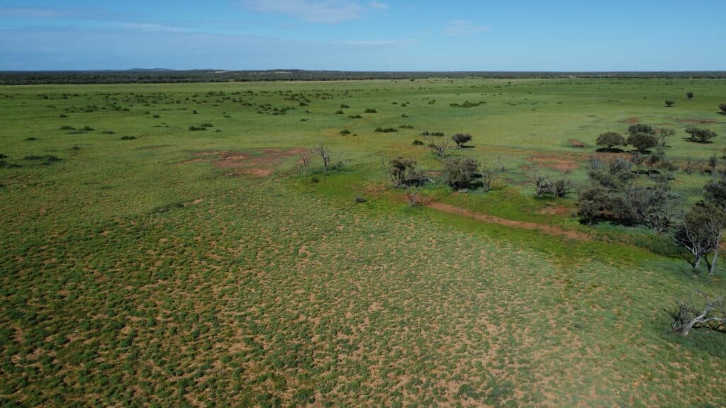 "Evengy" 1484 Warbreccan Road, Stonehenge QLD 4730, Stonehenge - Thumbnail 6
