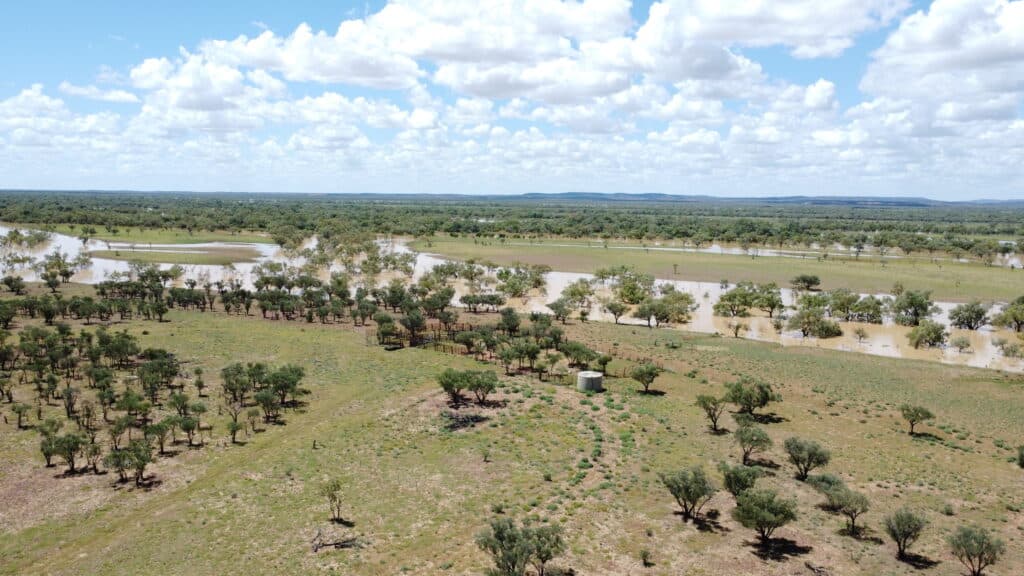 "Evengy" 1484 Warbreccan Road, Stonehenge QLD 4730, Stonehenge - Thumbnail 8