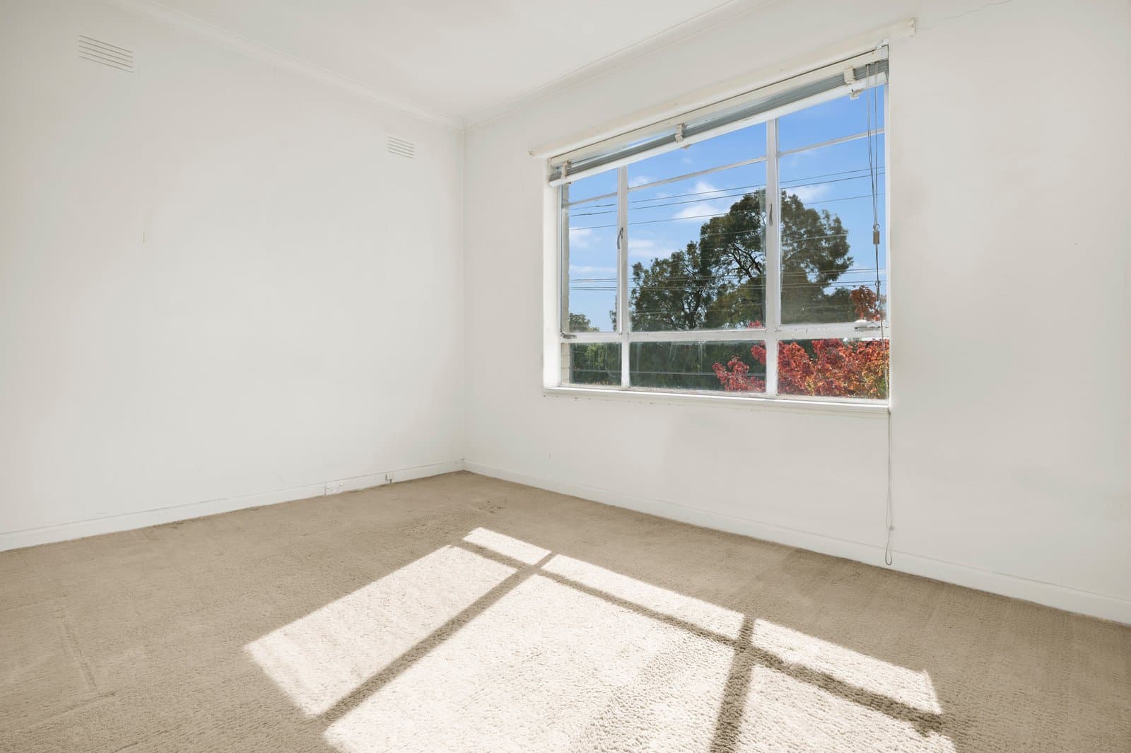 3/18 King Street, Elsternwick, Elsternwick - Thumbnail 8