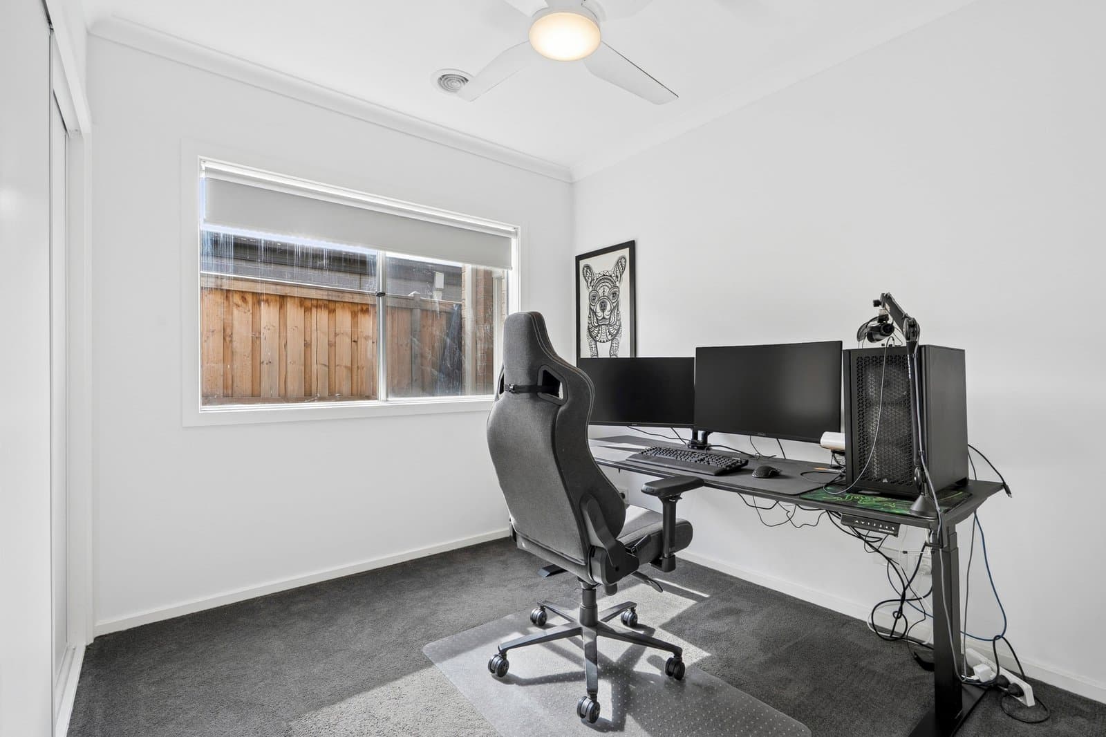 16 Jimmy Street, Charlemont, Charlemont - Thumbnail 4