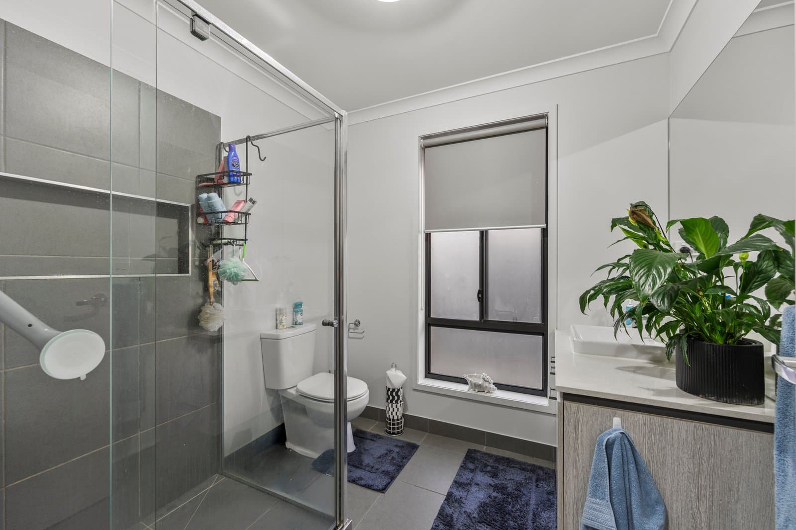 59 Longford Road, Alfredton, Alfredton - Thumbnail 8