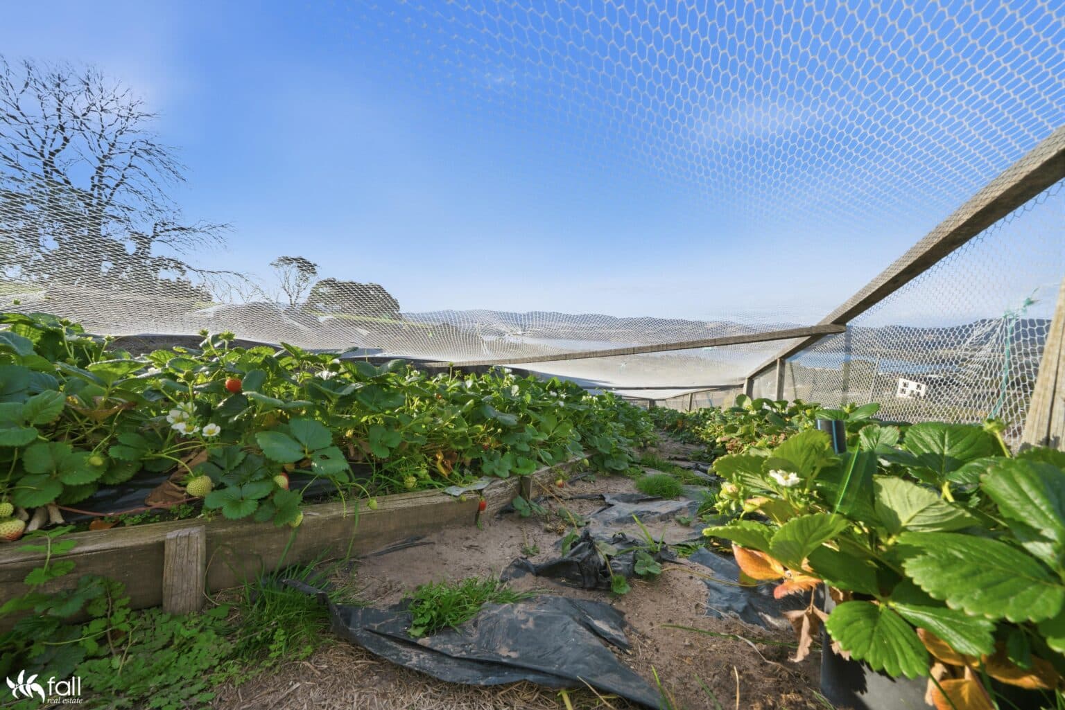 23 Eric Court, GRANTON TAS 7030, Granton - Thumbnail 4