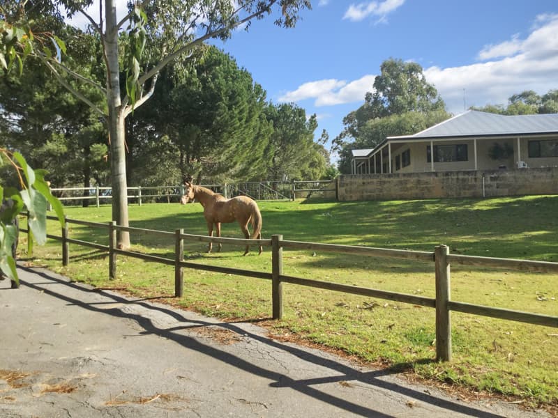 24 Haub Road, Lake Clifton, WA, 6215, Lake Clifton - Thumbnail 2