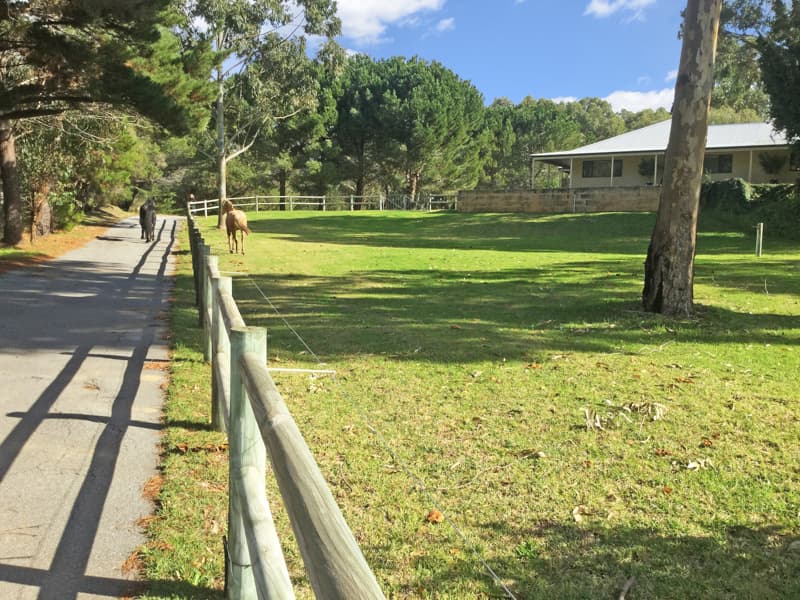 24 Haub Road, Lake Clifton, WA, 6215, Lake Clifton - Thumbnail 3