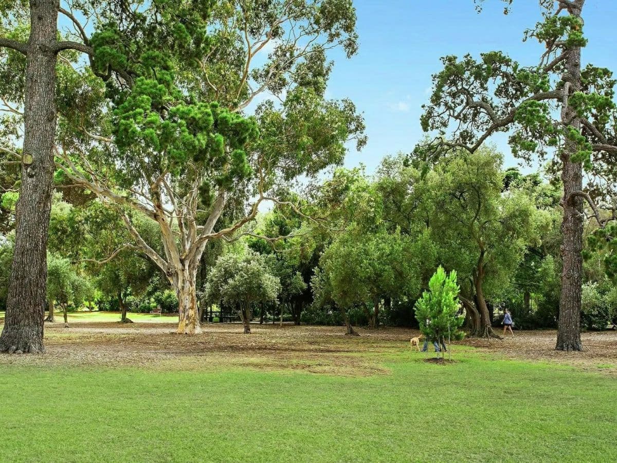 12/198 Alma Road, ST KILDA EAST, St Kilda East - Thumbnail 7