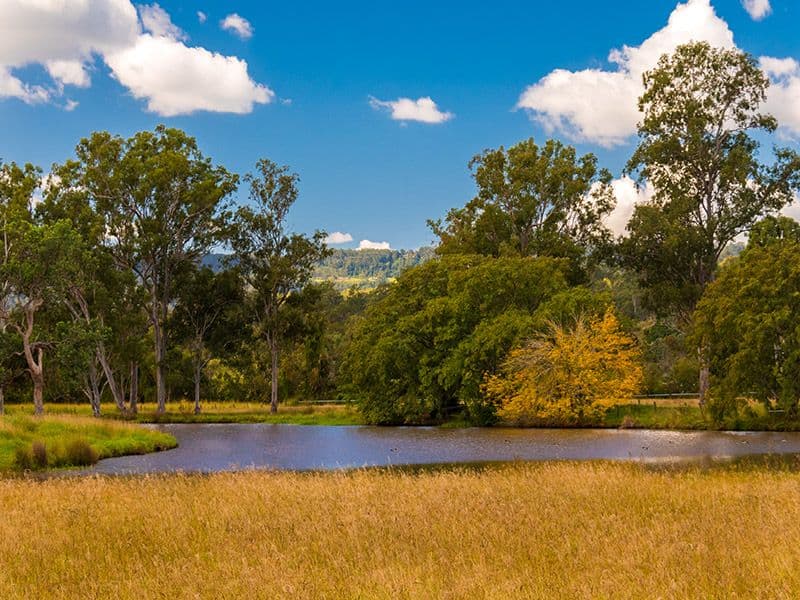 58 Armstrong Road, BIDDADDABA, QLD, 4275, Biddaddaba - Image 1