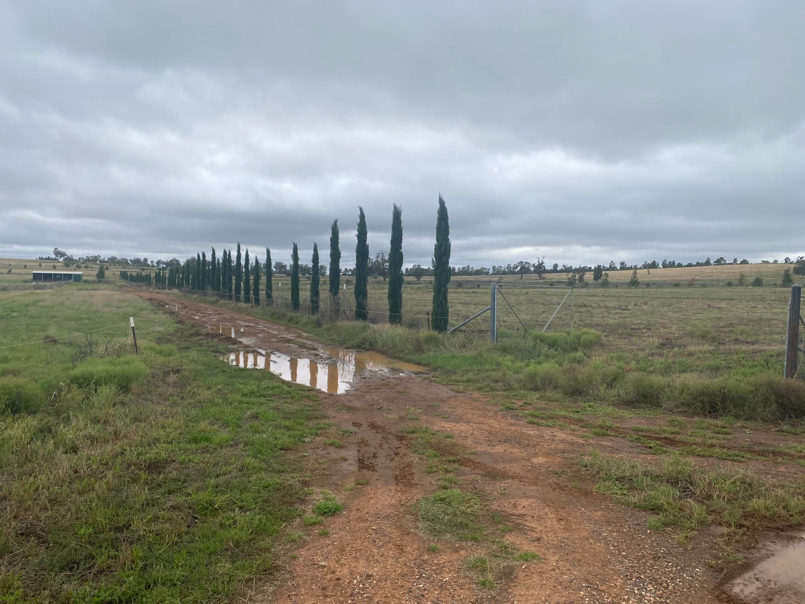 Lot 1 Endicott Street,, PARKES NSW 2870, Parkes - Thumbnail 2
